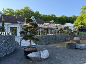 two trees in pots in front of a building at LaCorniche Hôtel in Contrexéville +24 photos