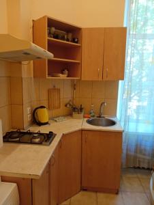a kitchen with wooden cabinets and a sink at Welcome Apartments in Odessa in Odesa