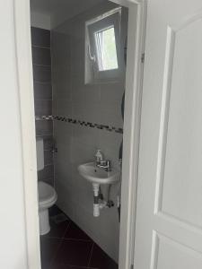 a bathroom with a sink and a toilet at Apartment Tihana in Cres +24 photos
