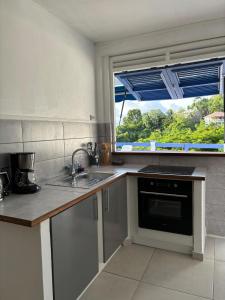 a kitchen with a sink and a window at Les Terrasses de la Wallon Paprika in Les Trois-Îlets
