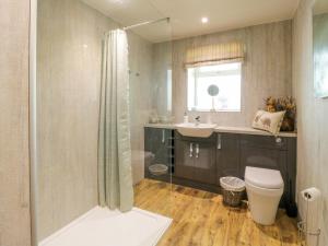 een badkamer met een douche, een toilet en een wastafel bij Nithbank Cottage in Thornhill +39 foto's