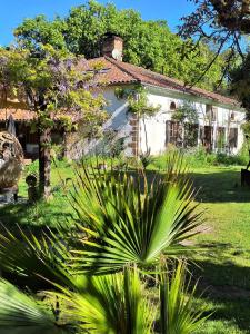 a house with a palm tree in front of a yard at La Réserve Taïno in Arjuzanx