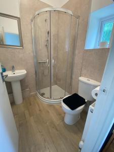 a bathroom with a shower and a toilet and a sink at The Snug on Hornby in Morecambe +17 photos