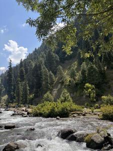 einen Fluss inmitten eines Berges mit Bäumen in der Unterkunft Blue Water Riverside Resort & Fishing Spot Kalam in Kalām