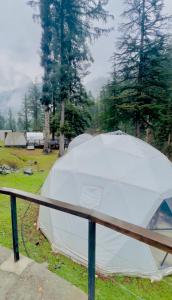 ein weißes Zelt auf einem Feld neben Bäumen in der Unterkunft Blue Water Riverside Resort & Fishing Spot Kalam in Kalām