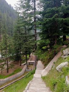 einen Pfad in einem Wald mit Bäumen und einer Bank in der Unterkunft Blue Water Riverside Resort & Fishing Spot Kalam in Kalām