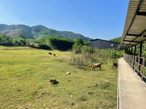 Φυσικό τοπίο κοντά σε αυτό το δωμάτιο σε οικογενειακή κατοικία