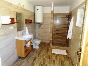 a bathroom with a toilet and a sink and a shower at Apartmány Hájenka in Vápenka