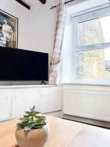 a living room with a tv and a plant on a table at The Willow Nook in Pateley Bridge