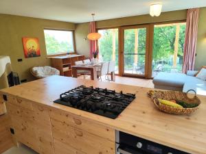 a kitchen with a stove and a counter top at Naravna lesena hiša v naravi z lastnim vrtom in Ig +18 photos