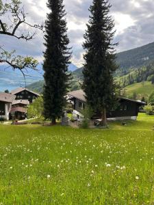 Příroda nedaleko apartmánu + 33 fotografií