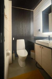 Un baño con un inodoro blanco y un lavabo. en Cahkal Villa, en Kilpisjärvi 25 fotos más