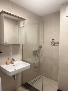 un baño con lavabo y ducha en Cozy 2BR Apartment In Floridsdorf Area, en Viena