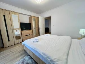 クルジュ・ナポカにあるCozy North 11の大きなベッドとテレビのある寝室