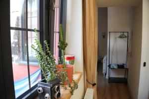 a group of plants sitting on a window sill at Communa Guesthouse in Gyumri +66 photos