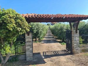 Gallery image of Xristos Studio Psakoudia Halkidiki in Psakoudia +15 photos