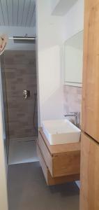 een badkamer met wastafel en douche bij Villa Thalia in Marinići +48 foto's