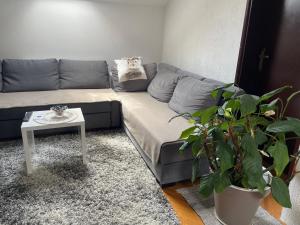 Istumisnurk majutusasutuses Apartman 1