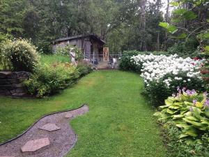 a garden with white flowers and a wooden shed at Appartement champêtre in Saguenay