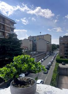a potted plant sitting on top of a balcony at Monolocale Portofino in Turin
