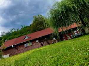 大盐矿镇Cabanuta de sub deal的小木屋前面有棵树