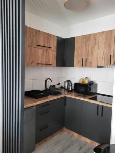 Billede fra billedgalleriet på Apartman Dunja i Banja Koviljača