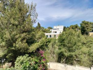 Κήπος έξω από το Villetta Leuca