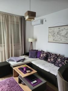 Billede fra billedgalleriet på Apartman Dunja i Banja Koviljača