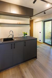 Kuchyň nebo kuchyňský kout v ubytování Tamme 10 Apartments