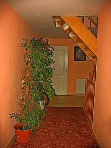 Fotografie z fotogalerie ubytování Usługi Turystyczne EKOTUR - Kraniec Świata v destinaci Gołubie