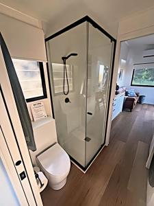 a bathroom with a toilet and a shower at Milfarrago Farm Stay in Farnborough