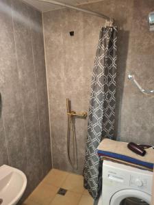 Ένα μπάνιο στο Apartamentai Dana +18 φωτογραφίες