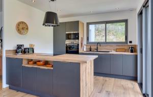 eine Küche mit blauen Schränken und einer Arbeitsplatte in der Unterkunft Villa Les Oyats in Saint-Germain-sur-Ay