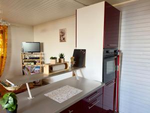 a kitchen with a counter with a microwave and a refrigerator at Chalet Panoramique in Cenves