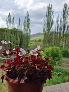 Garður fyrir utan Tatev 1