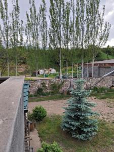 Garður fyrir utan Tatev 1