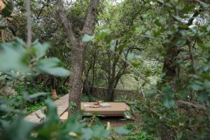 Zahrada ubytování Hotel Valldemossa - The new brand by It Mallorca