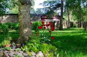 a garden with red flowers next to a tree at Large 3-room apartment in a historic house in Tallinn