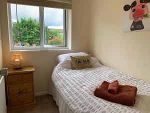 a small bedroom with a bed and a window at Beautiful home near to Musgrove Park Hospital in Taunton