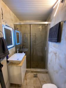 un baño con ducha y lavabo en King Lux Apartment, en Skopje