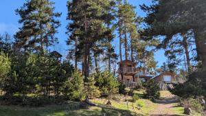 Paesaggio naturale nelle vicinanze dell'affittacamere