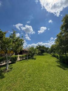 a green field with trees and a blue sky at Slomljena Strijela - Kuća za odmor in Ðakovo
