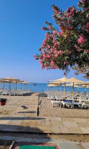 Φυσικό τοπίο κοντά σε αυτό το ξενοδοχείο