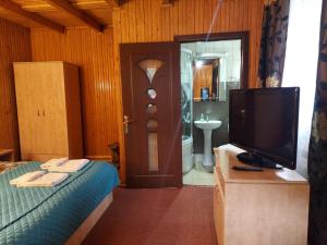 a bedroom with a bed and a tv and a bathroom at Pensiune Casa Barcaru in Azuga