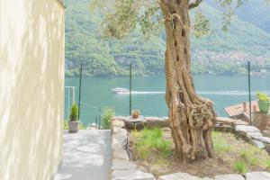 Příroda nedaleko apartmánu + 37 fotografií