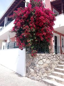 The building in which Az apartmant is located