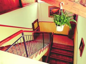Fotografie z fotogalerie ubytování B&B Antica Trattoria v destinaci San Giovanni Rotondo