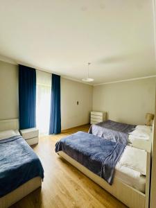 Φωτογραφία από το άλμπουμ του Hotel Ritur Mestia στη Μέστια +29 φωτογραφίες