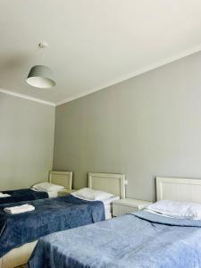 Φωτογραφία από το άλμπουμ του Hotel Ritur Mestia στη Μέστια