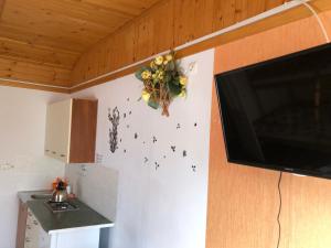 TV a/nebo společenská místnost v ubytování Domki Letniskowe